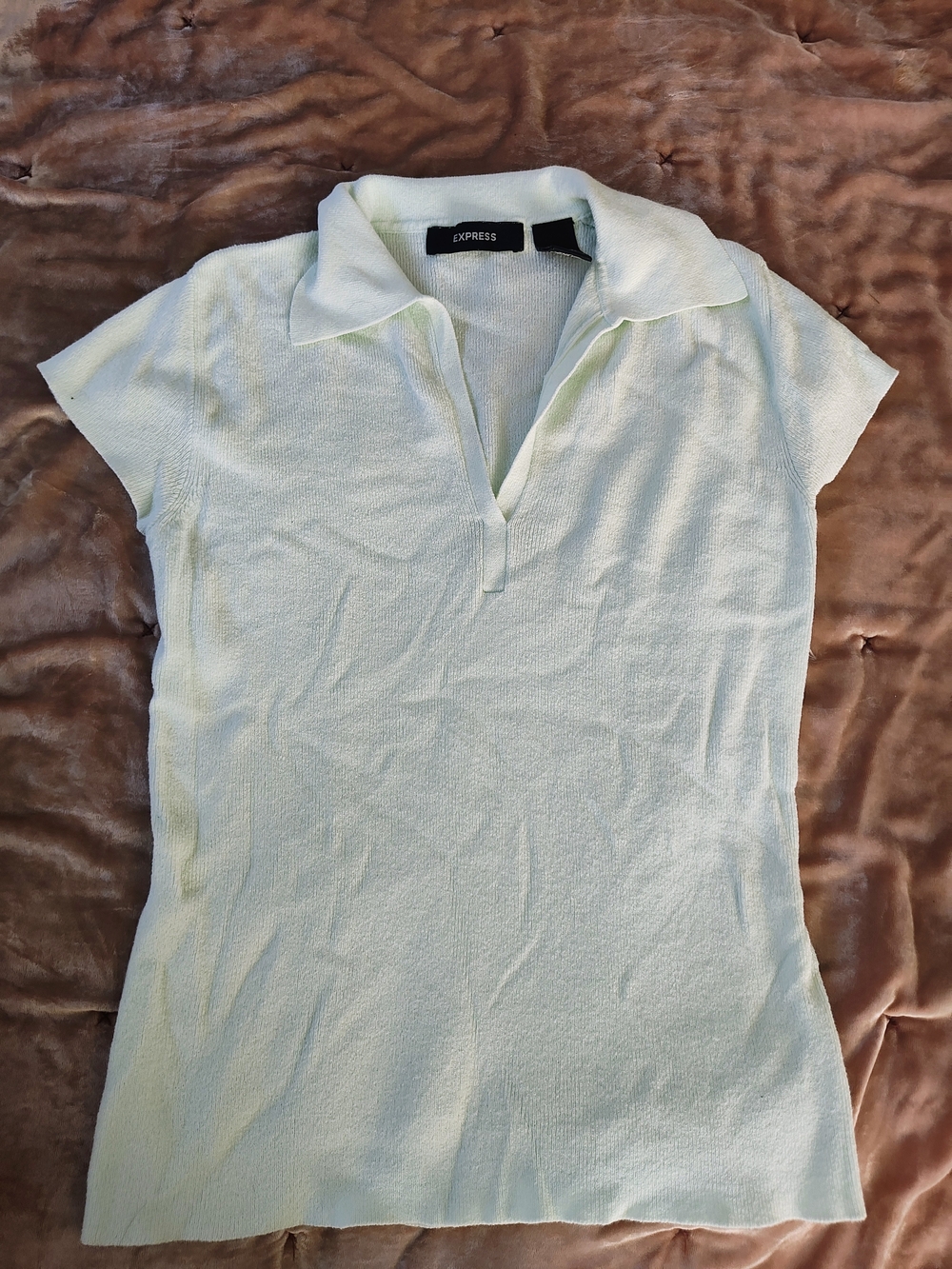 Express Women's Pale Mint Short-Sleeve Polo Top